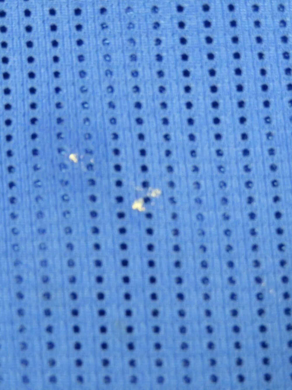 Danskin Now Shorts - Lg (12-14) - Picture 4 of 4
